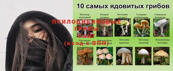 спиды Беломорск