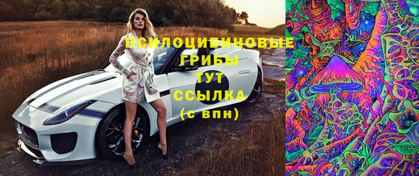 стафф Балабаново