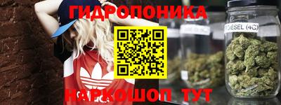 амф Гусев
