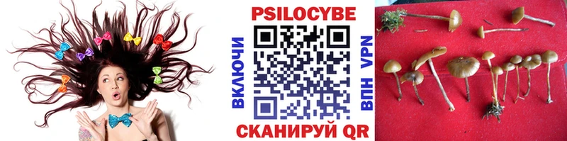 Галлюциногенные грибы ЛСД  Реутов 