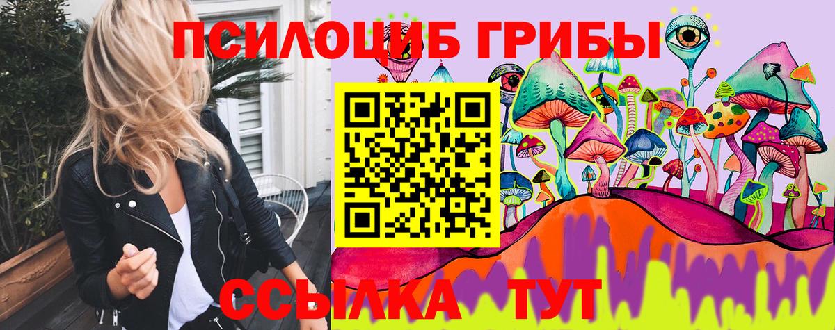 Реутов  Псилоцибиновые грибы мицелий  магазин продажи   Вход с VPN 