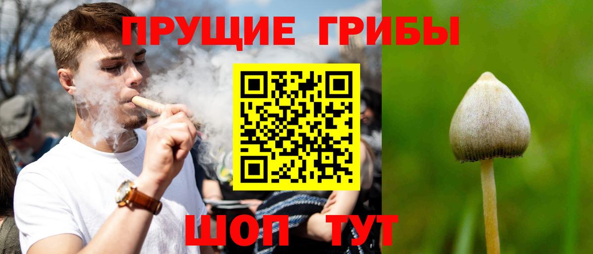 Псилоцибиновые грибы ЛСД Реутов